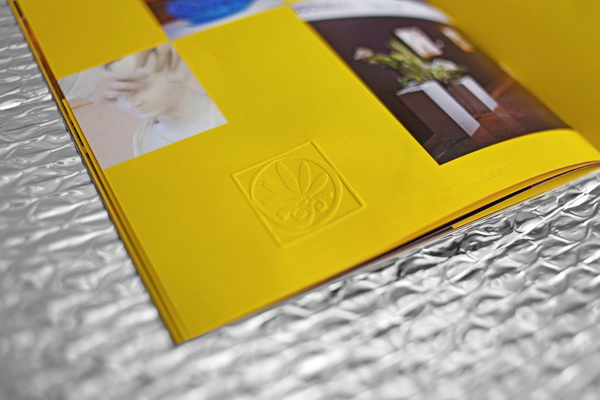 產(chǎn)品畫冊設(shè)計幫助您的企業(yè)走向巔峰！